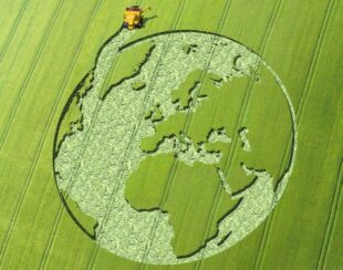 Globe crop circle in green field