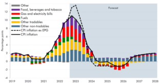 Figure 1: CPI inflation: contribution and trends