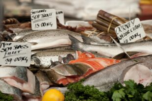 Fish on display at fishmongers